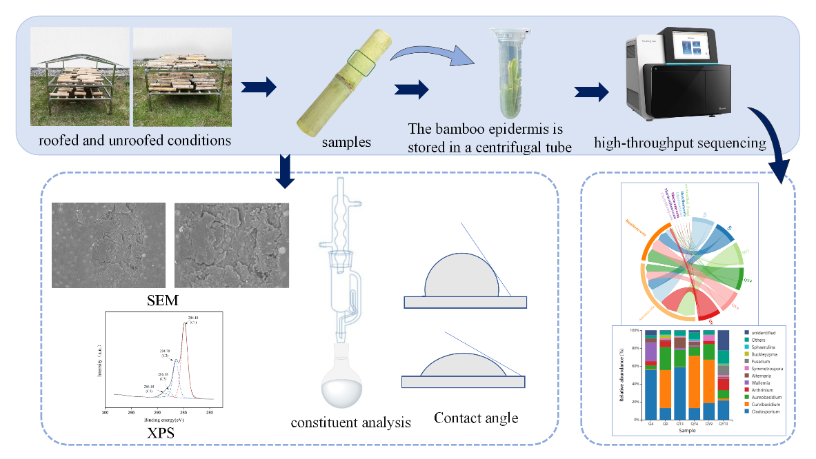 孙芳利教授团队在真菌学知名期刊《Journal of Fungi》  发表最新研究成果