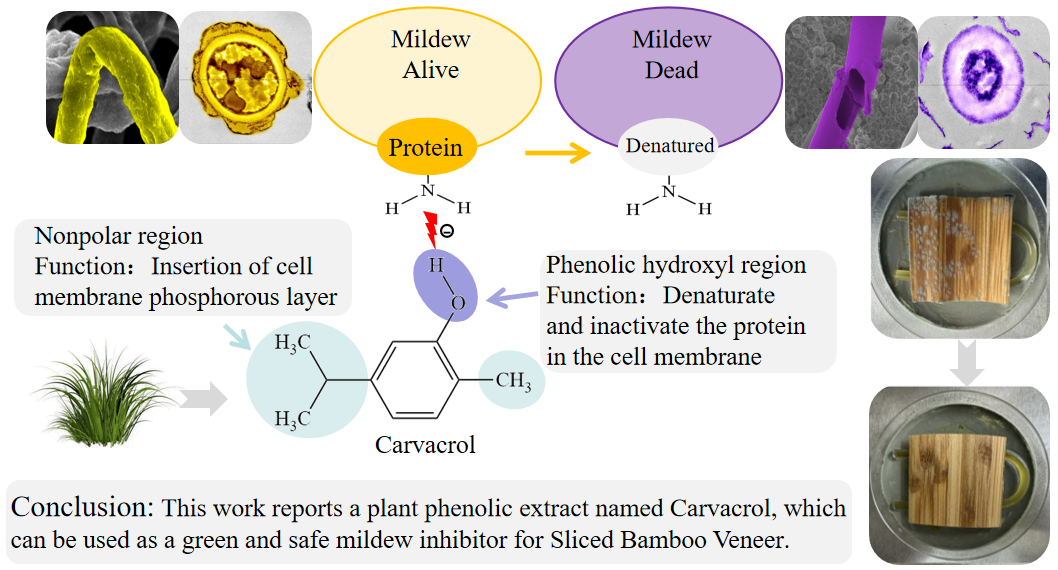 杜春贵教授团队在《Molecules》发表最新研究成果