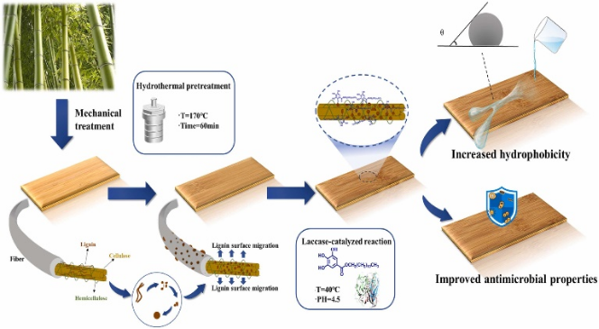 抗菌虫生物基材料的制备